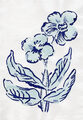Image Not Available
